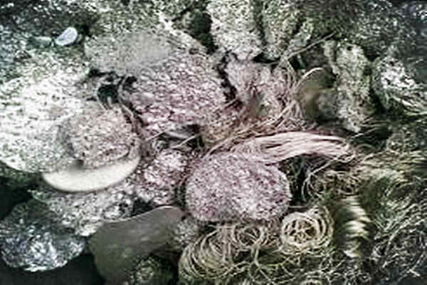 回收焊锡丝服务，先进分类处理，支持全程指导