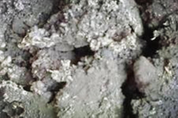 2025年锡灰回收爆发年：高价、环保、一站式服务成行业新标配！